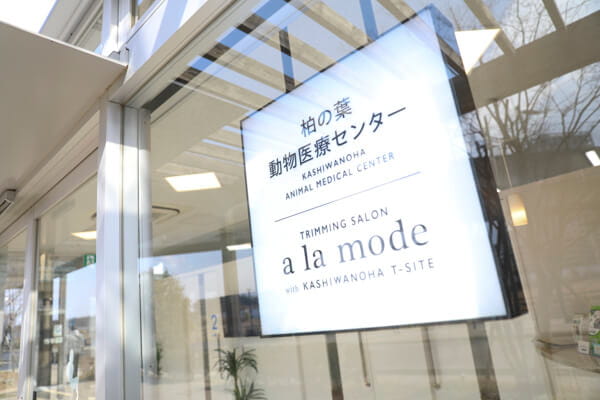 a la mode with KASHIWANOHA T-SITE_1