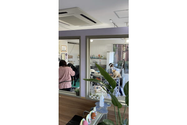 Dog salon FLOCHE_3