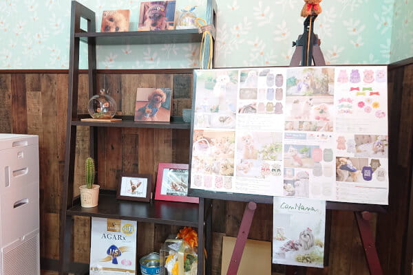 Dog Salon Luna_2