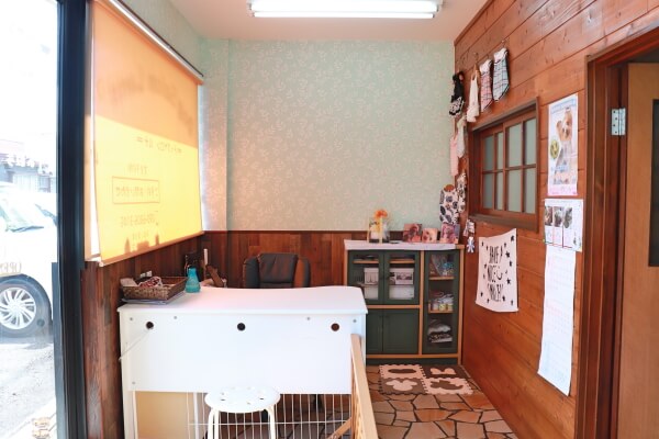Dog Salon Luna_1