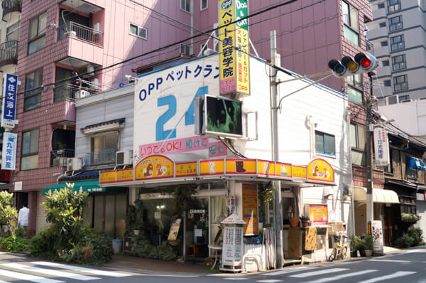 OPPペットクラブ24