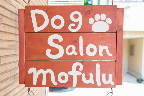 DogSalon mofulu