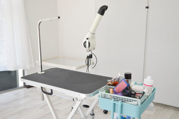 pet salon ICE_1