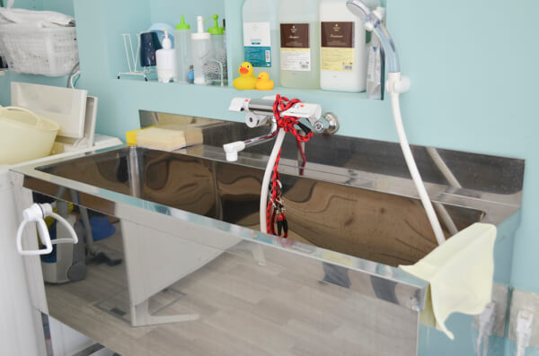 pet salon ICE_3