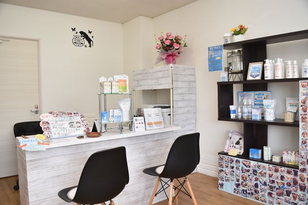 ペットサロン アミティエ 前田店_1