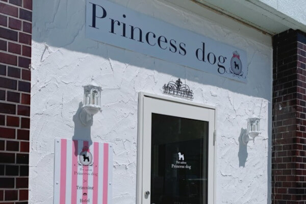 Princess dog