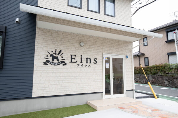 Dog Salon Eins