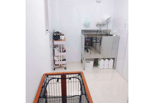 dog salon Parfait