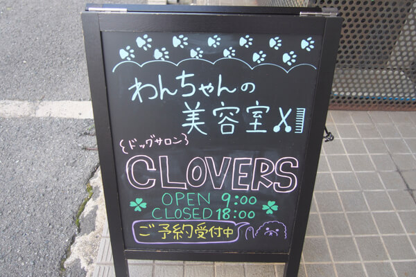 Dog salon CLOVERS_1