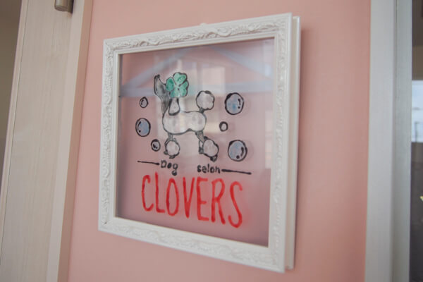 Dog salon CLOVERS_4