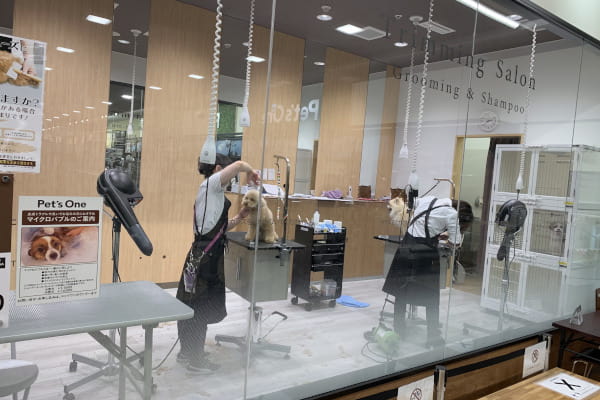 ペッツワン富士宮小泉店_2