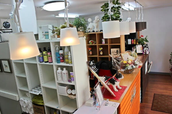 トリミングサロンCute那覇新都心店_1