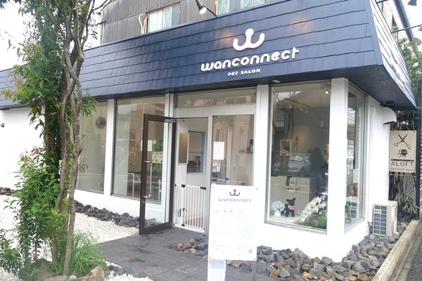 PETSALON Wan connect