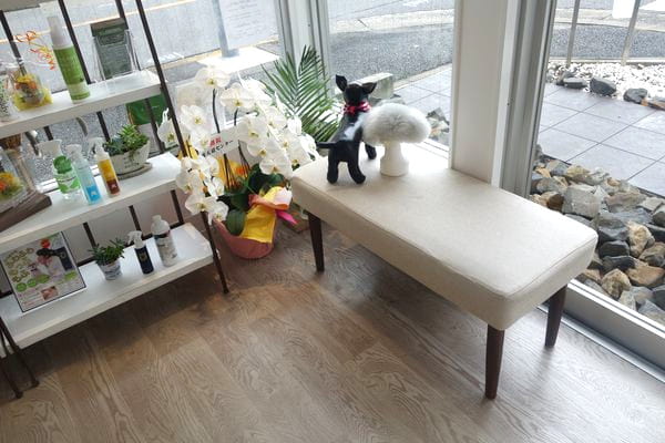 PETSALON Wan connect_2