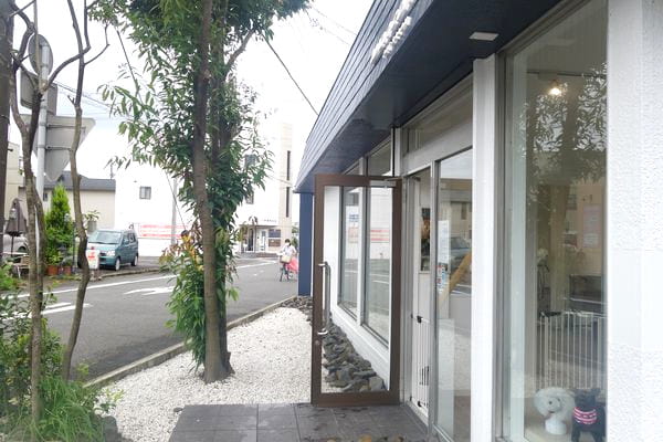 PETSALON Wan connect_1