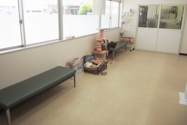 DCC動物病院 静岡南_1