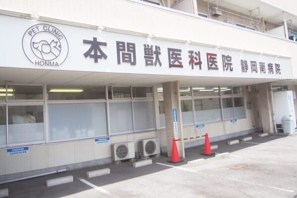DCC動物病院 静岡南