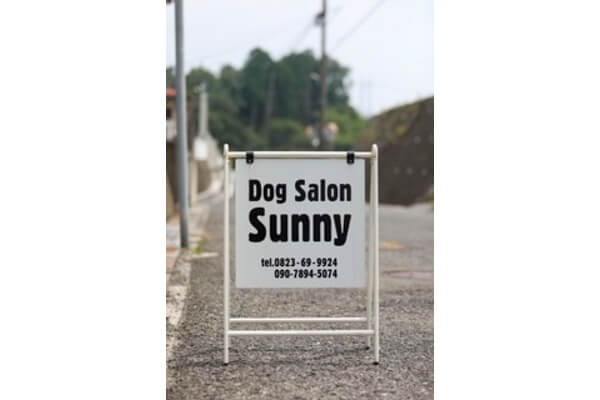 Dog Salon Sunny_1