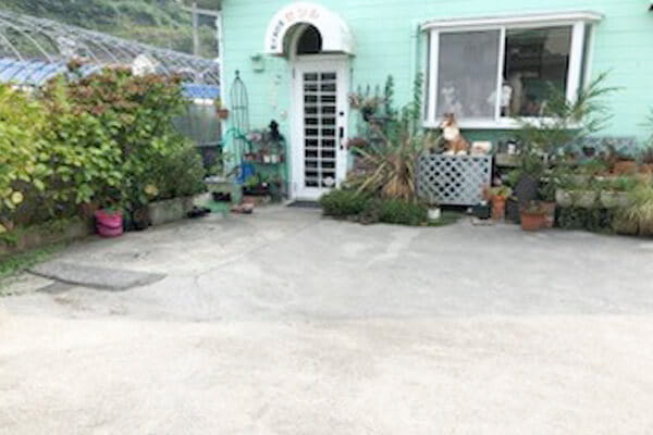 愛犬美容室セシル_1