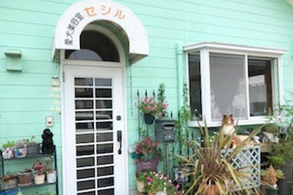 愛犬美容室セシル
