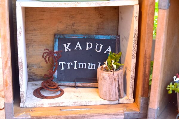 ドッグサロンKAPUA_4