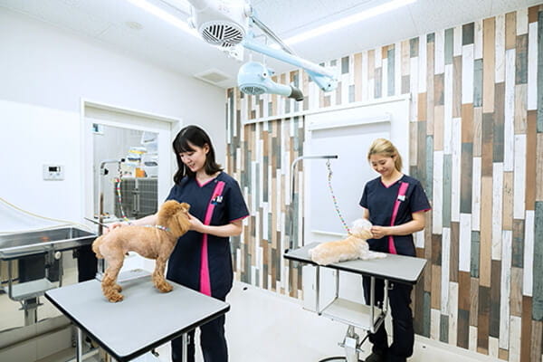 横浜みどり動物医療センター　しょう動物病院_11