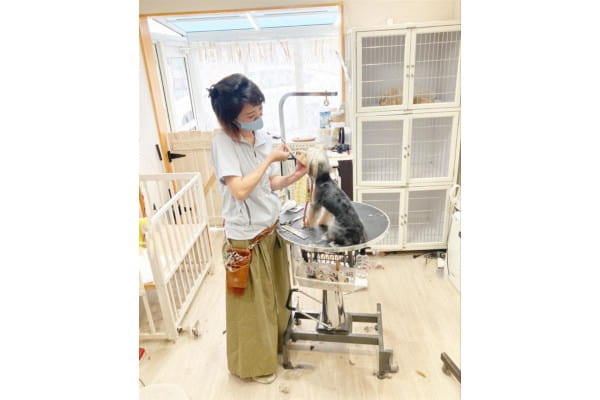 Trimming Salon Jane_4