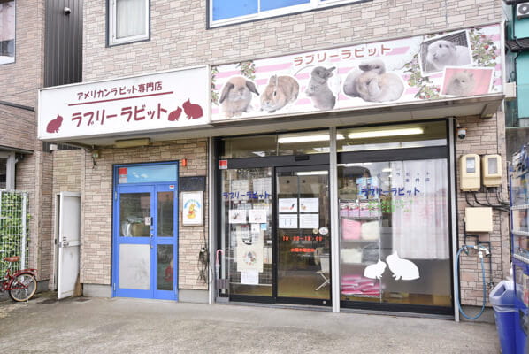 アメリカンラビット専門店 ラブリーラビット