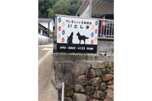 ワンニャン美容室 いとしま_1