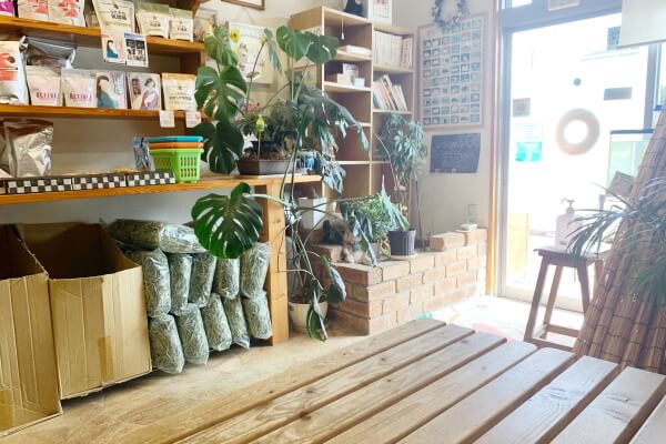 うさぎ専門店 ハッピーラビット_1