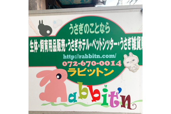 Rabbit'n(ウサギ専門）_1