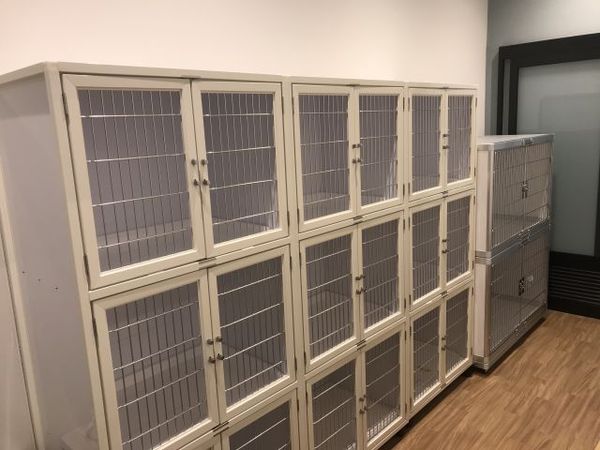 ハッピーベルPet’s One 龍ヶ崎店_2