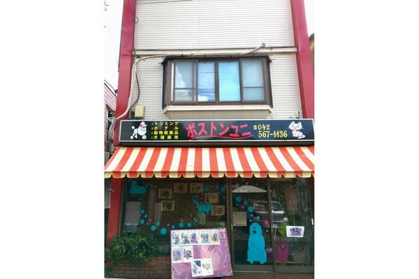 ペットサロン ボストンユニ