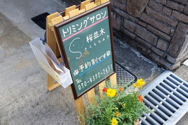 dog salon SAKURANAMIKI