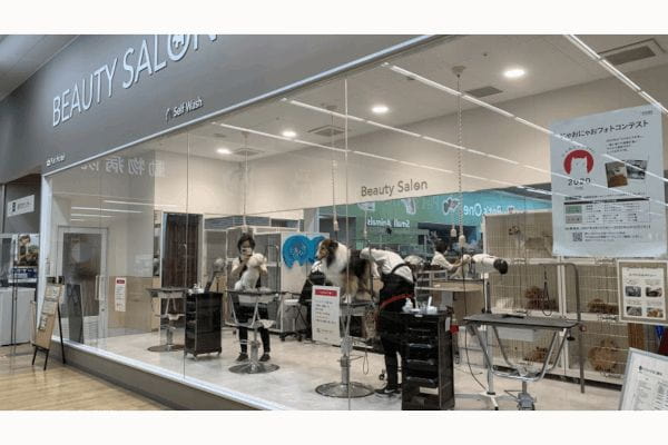 エステカーサ桑名店