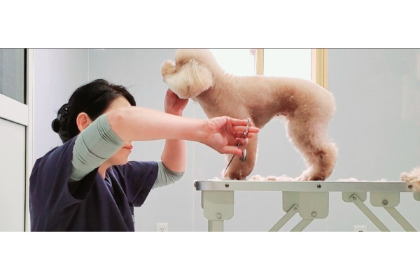 Grooming Shop KOOODLE_3