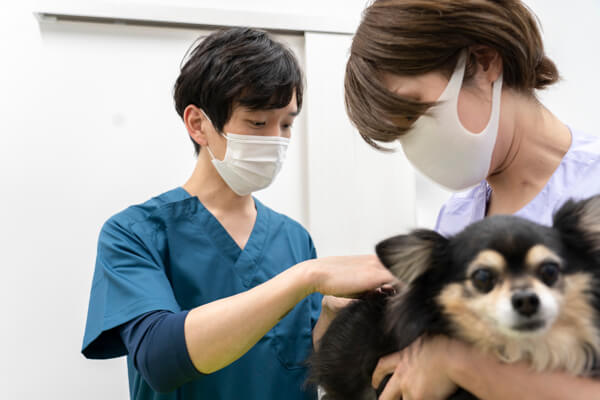 八幡みなみ動物病院_19