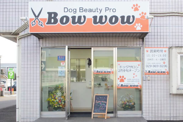 Dog Beautypro Bow-wow
