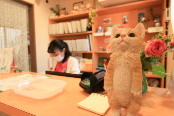 ソレイユ動物病院_7