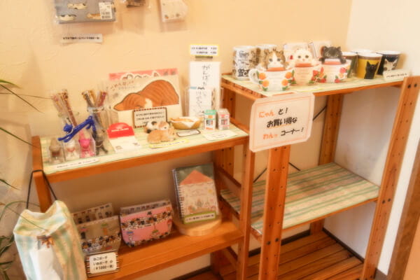 ソレイユ動物病院_11