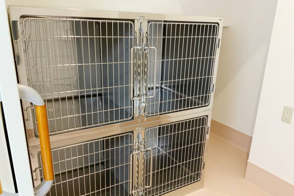 かんまち犬猫クリニック　※4/19　OPEN_3