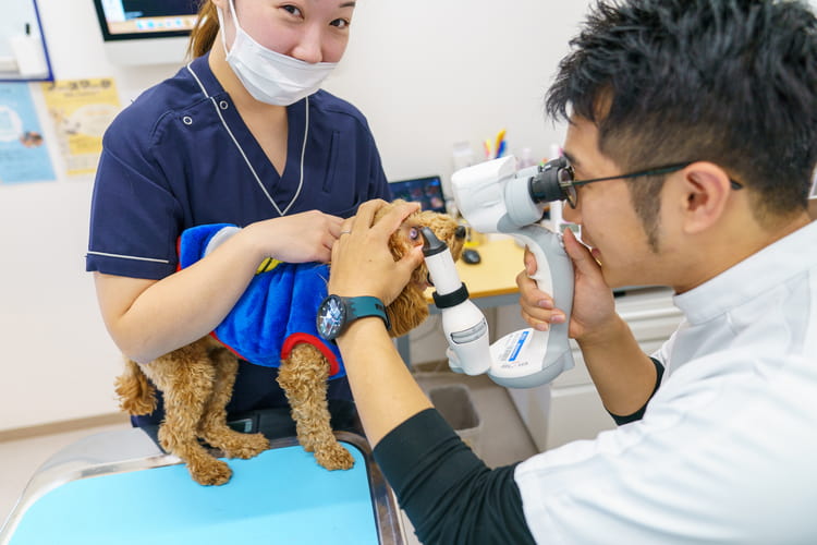 ペテモどうぶつ医療センター 名古屋_1