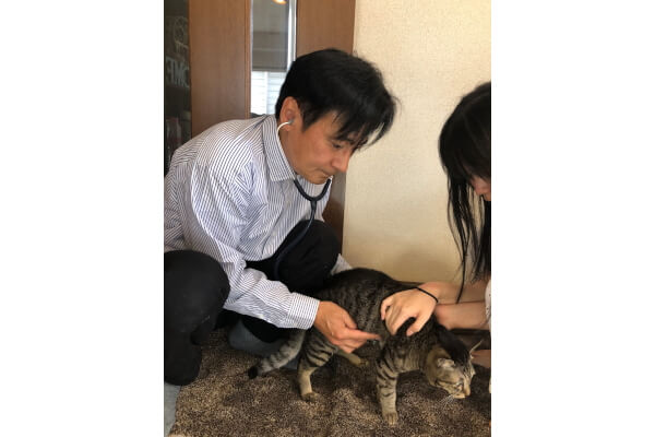 Puppy Cat Clinic【往診専門】_4