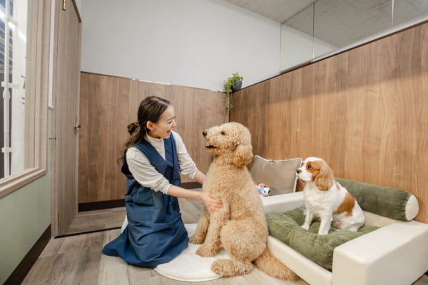 ペットサロン フェリーチェ ラビータ店_1