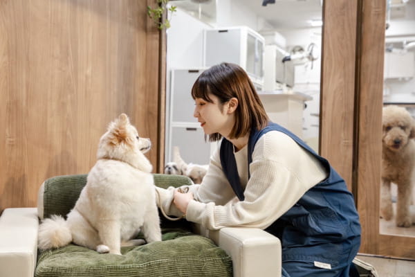 ペットサロン フェリーチェ ラビータ店_2