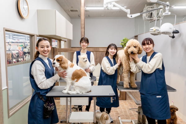 ペットサロン フェリーチェ ラビータ店