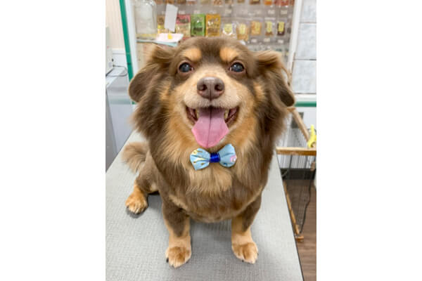 ペットショップ ラビータ ゆめタウン下松店_1