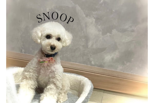 SNOOP_3