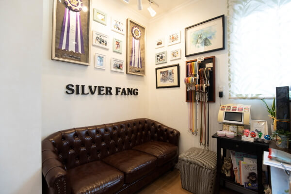DOG PROSHOP SILVER FANG_3