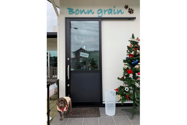 Bonn grain_2